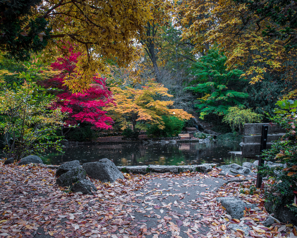 are dogs allowed in lithia park ashland oregon