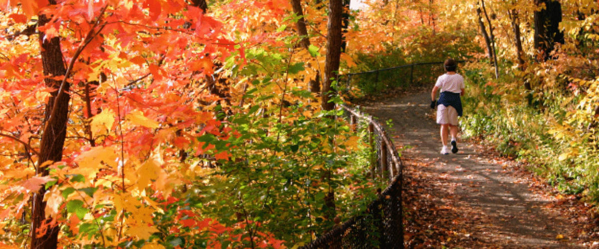 Discover one of the best fall wellness retreats in Oregon at Lithia Springs Resort, where golden leaves, warm mineral waters, and seasonal delights come together for an unforgettable escape. Nestled in picturesque Ashland, our boutique resort offers the perfect balance of relaxation, nature, and local charm.Learn More
